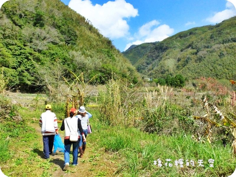 01金盞花田2.JPG