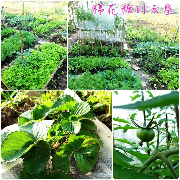 00農場B月租
