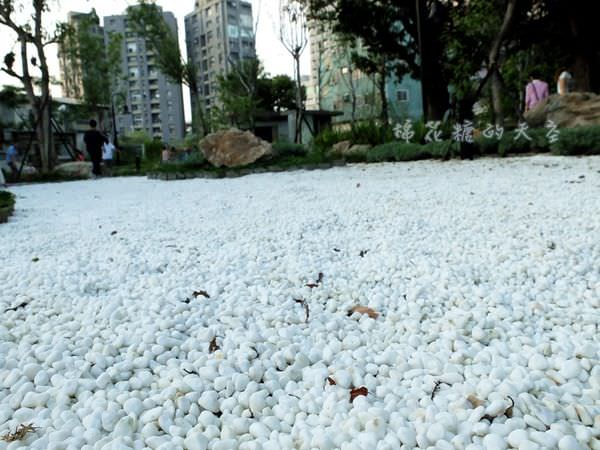 00石子池.JPG