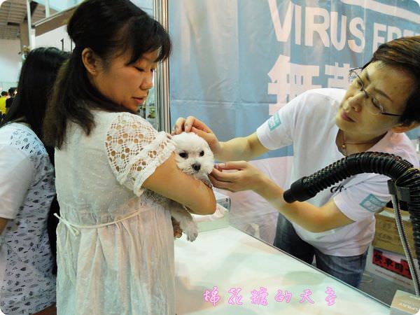 00寵物SPA5.JPG