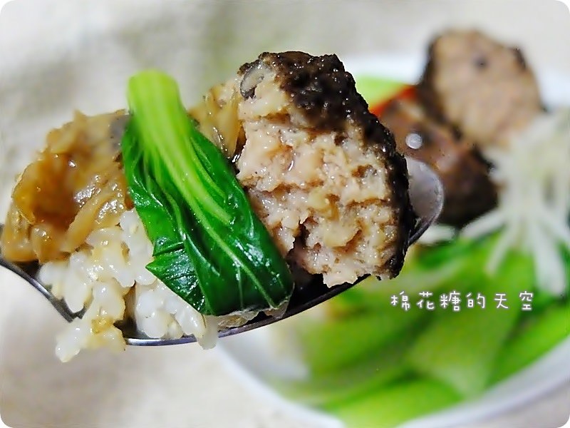 00獅子頭配飯5.JPG