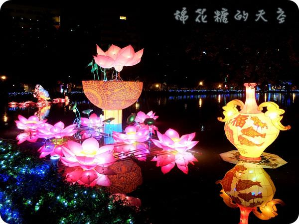 00水中蓮花.JPG