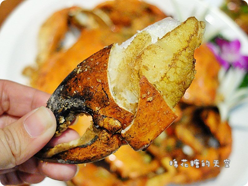 00菜沙公8.JPG