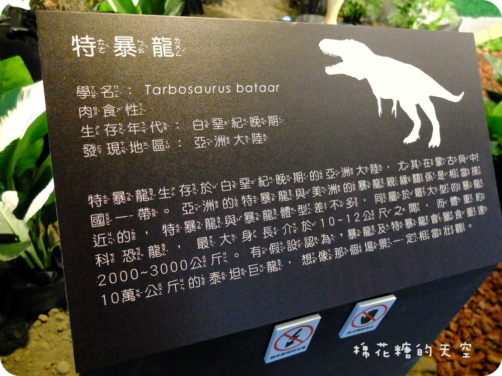 00DSCF3295.JPG