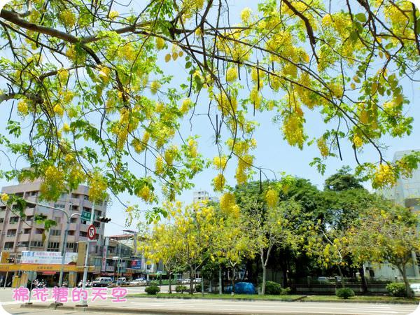 00中興大學6.JPG