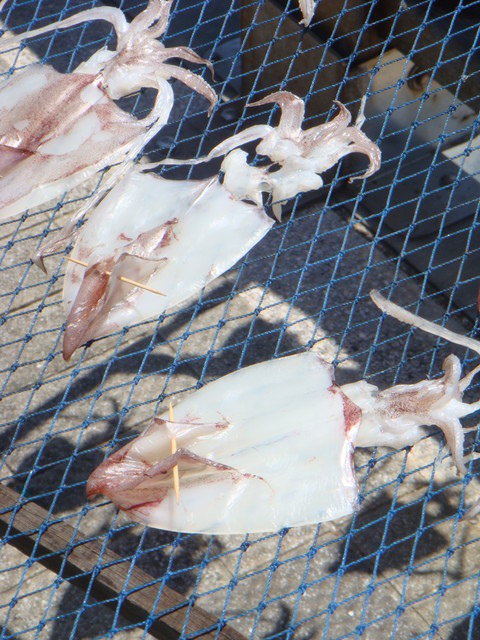 080826-080828再遊澎湖~假裝希臘行
