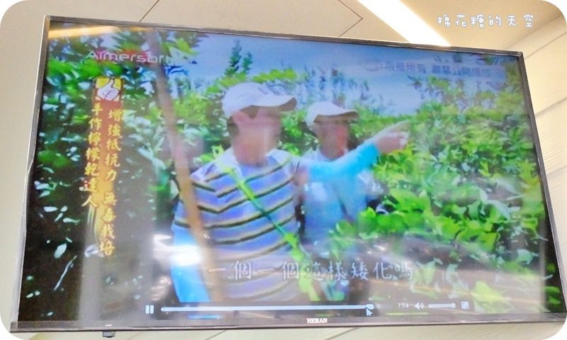 01檸檬5.JPG