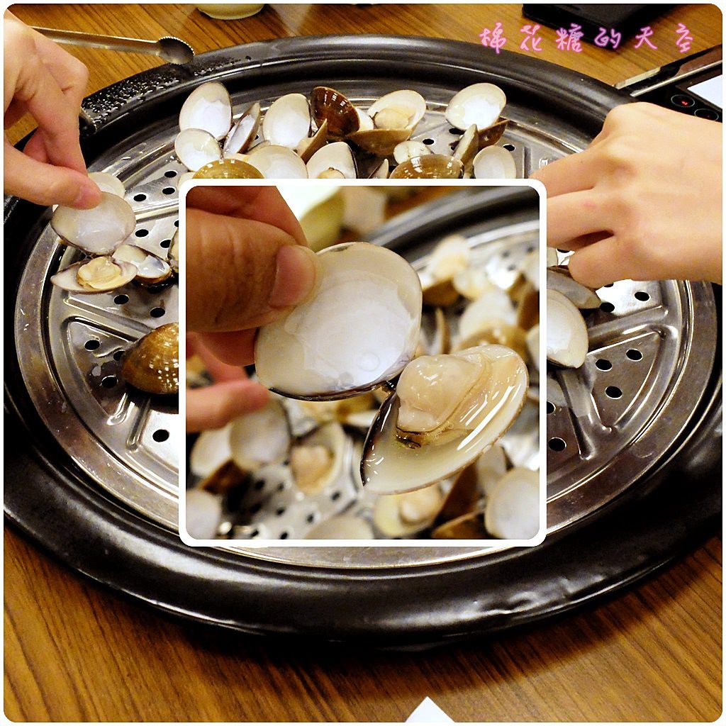 00蛤蠣5.JPG 00蛤蠣5.JPG