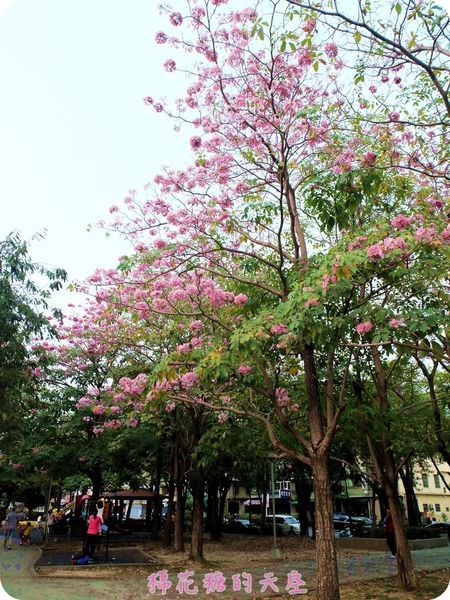 00全景5.JPG