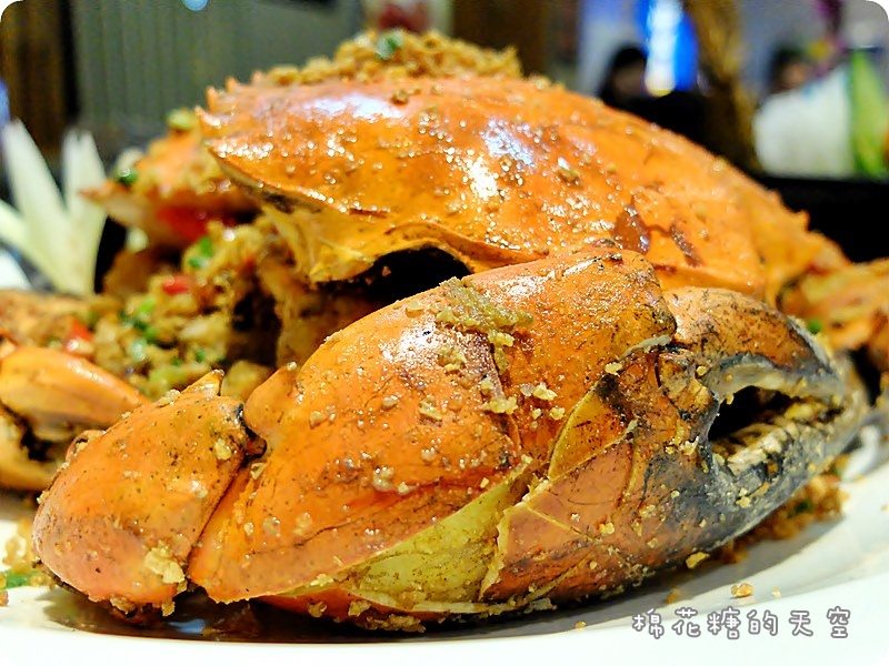 00菜沙公4.JPG