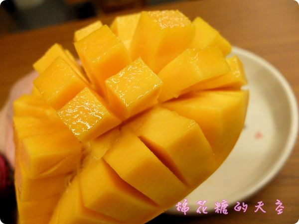 00刺蝟