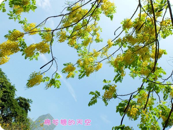 00中興大學10.JPG