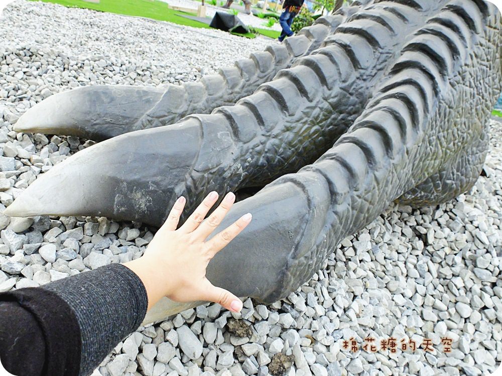 00DSCF0917.JPG