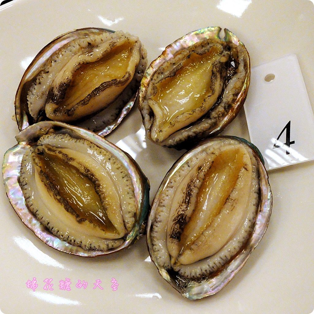 00九孔.JPG 00九孔.JPG