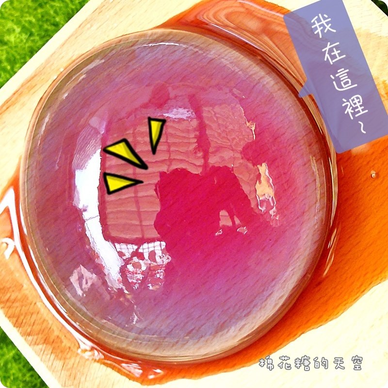 00幻蝶姬2.JPG