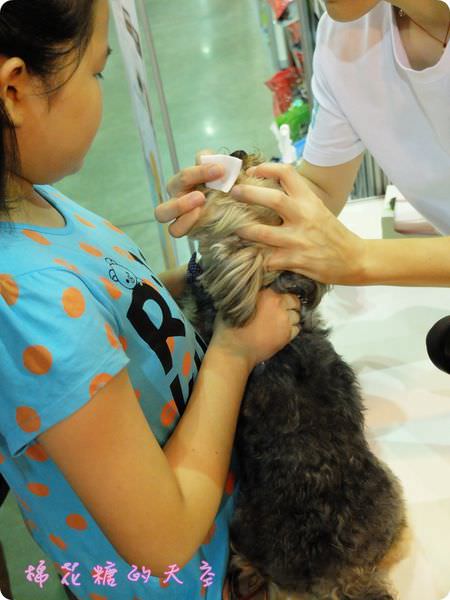 00寵物SPA3.JPG
