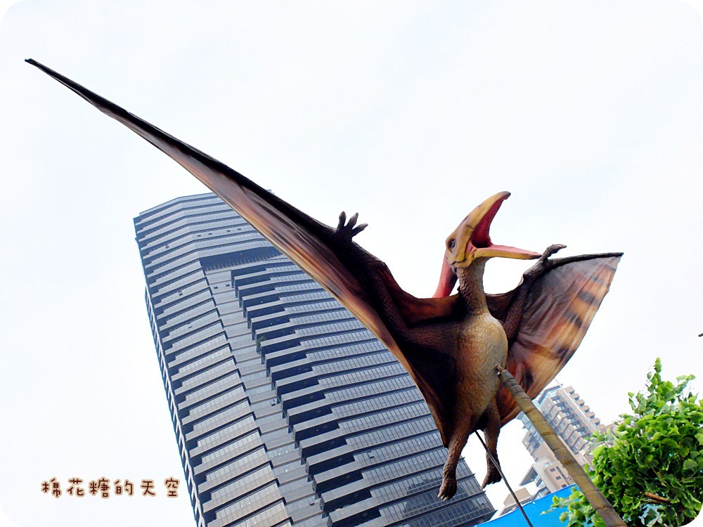 00DSCF0889.JPG