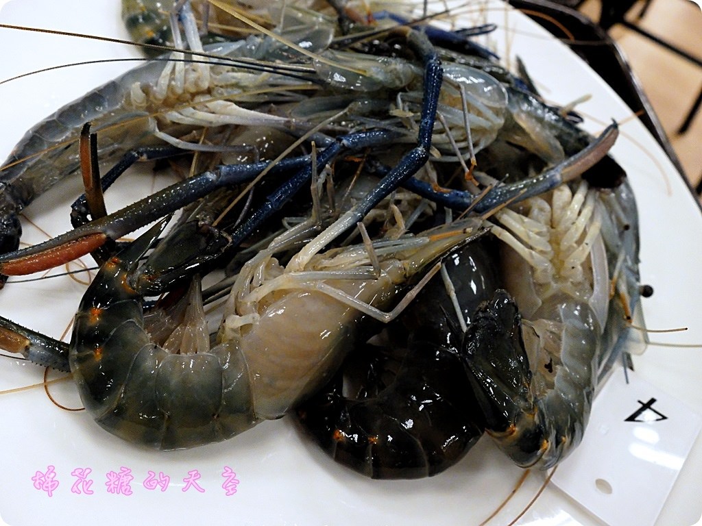 00泰國蝦2.JPG 00泰國蝦2.JPG