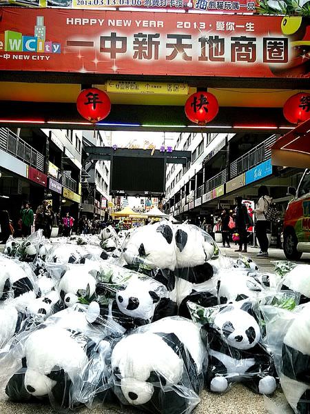 台中也有千隻熊貓任你照！駐點益民一中商圈療癒你的心！
