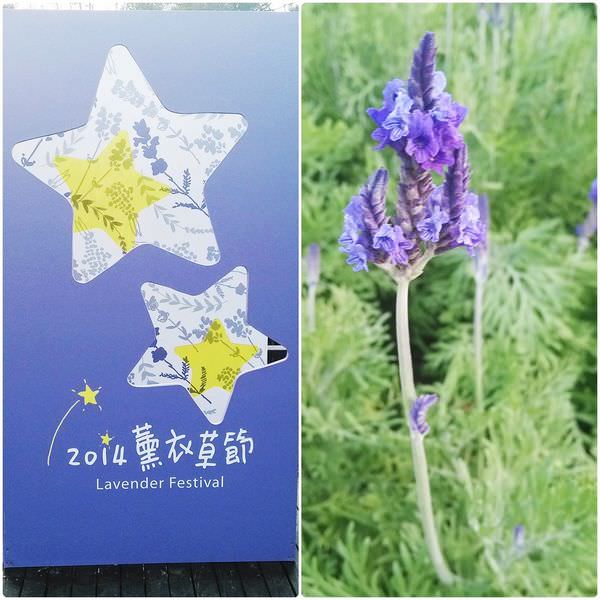 新竹尖石小旅行，溫泉、薰衣草、櫻花朵朵，野薑花也做蛋糕？！