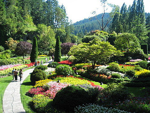 加拿大之旅特輯~布查花園